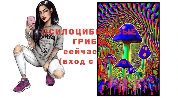 кокаин премиум Дмитриев