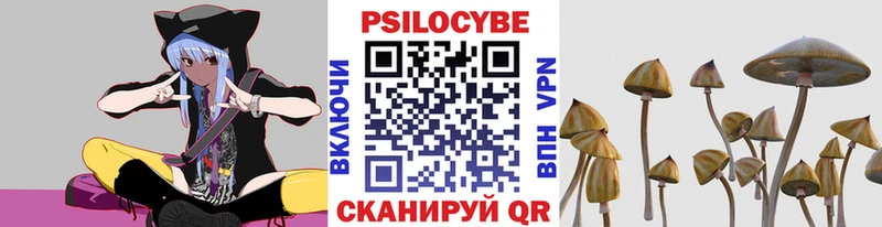 Псилоцибиновые грибы мухоморы  Купить закладки  Тихвин 